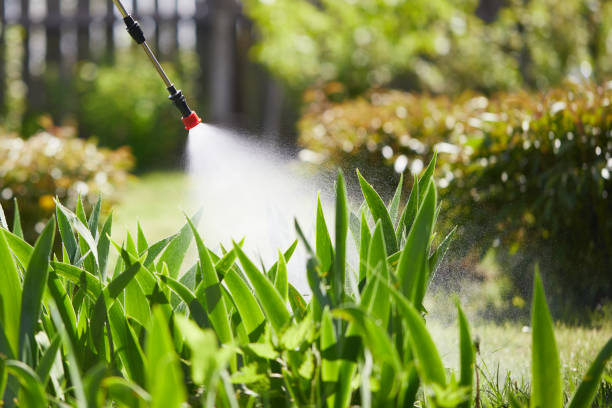24/7 Emergency Wasp Removal experts in Elkton, VA