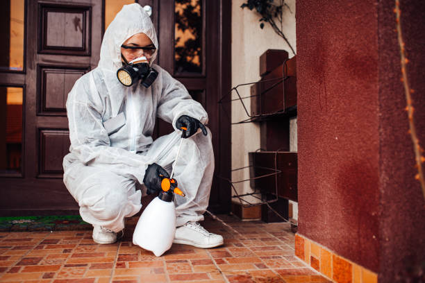 Reliable Wasp Removal contractor in Elkton, VA by Show Me Pest Control