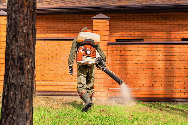 Top rated local Wasp Removal specialists in Elkton, VA